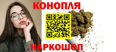 стафф Будённовск