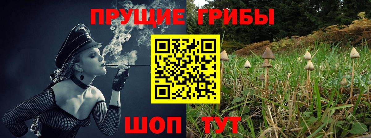 Псилоцибиновые грибы Magic Shrooms Тольятти