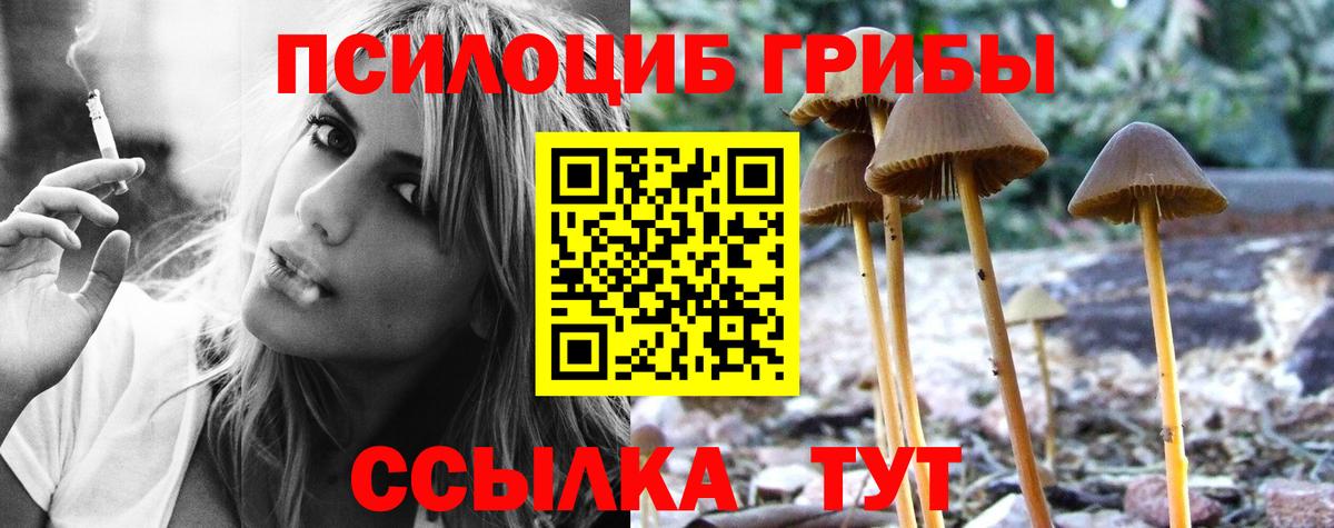 Галлюциногенные грибы Psilocybe  Вход с VPN  Галлюциногенные грибы MAGIC MUSHROOMS  Тольятти 